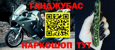 Альфа ПВП Малгобек