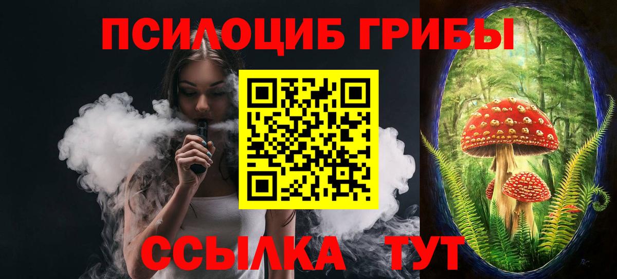 Псилоцибиновые грибы Psilocybine cubensis Ульяновск