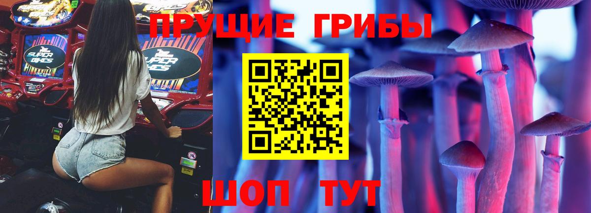 Псилоцибиновые грибы Cubensis  Псилоцибиновые грибы Psilocybine cubensis  Вход с VPN  где можно купить наркотик  Ульяновск 